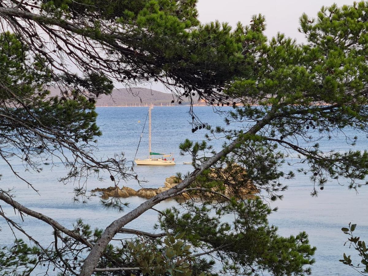 L'Instant Mer - Bord De Mer - Studio Avec Grand Jardin A La Capte Hyères Eksteriør bilde